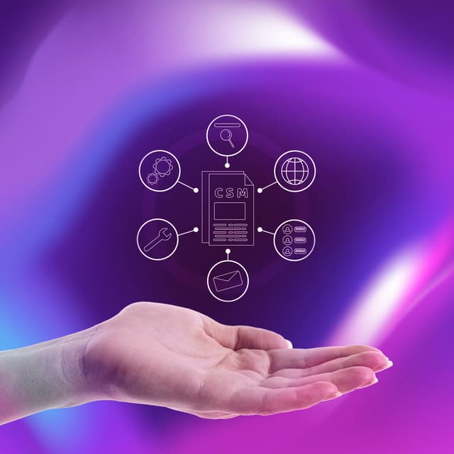Service Provider